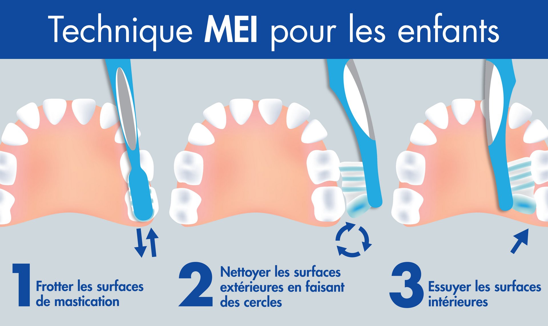 Technique De Brossage Des Dents Pour Les Enfants Conseils Pour Le 