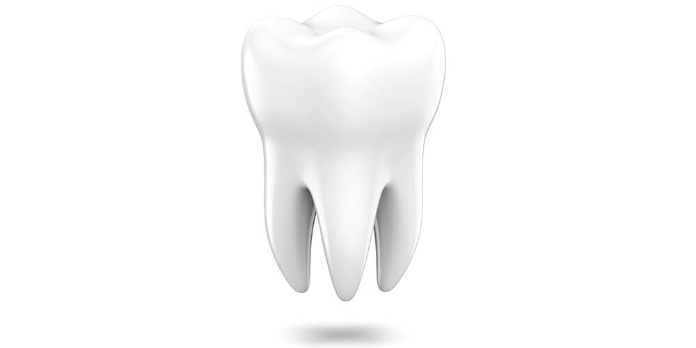 Aufbau des menschlichen Zahns